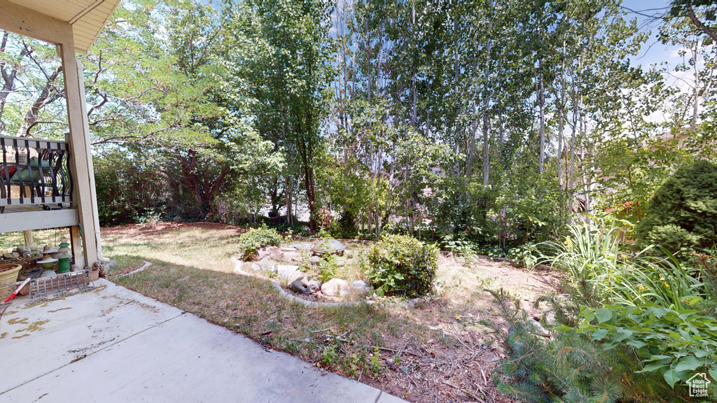 View of yard with a patio and a wooden deck