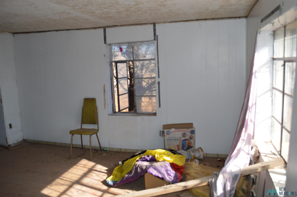 Photo #31