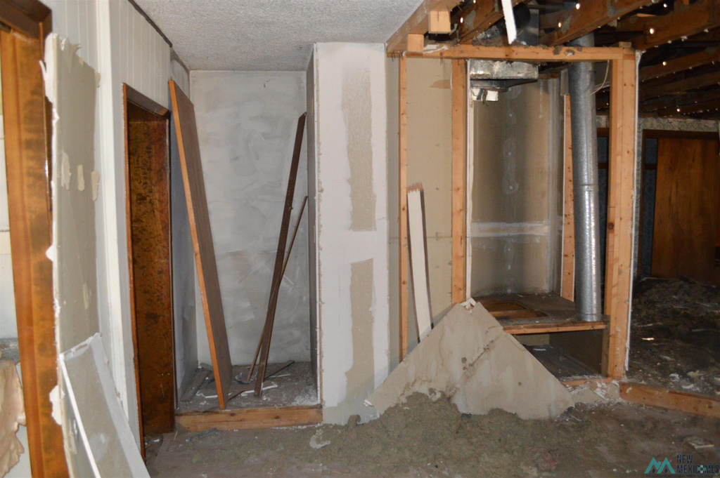 Photo #42