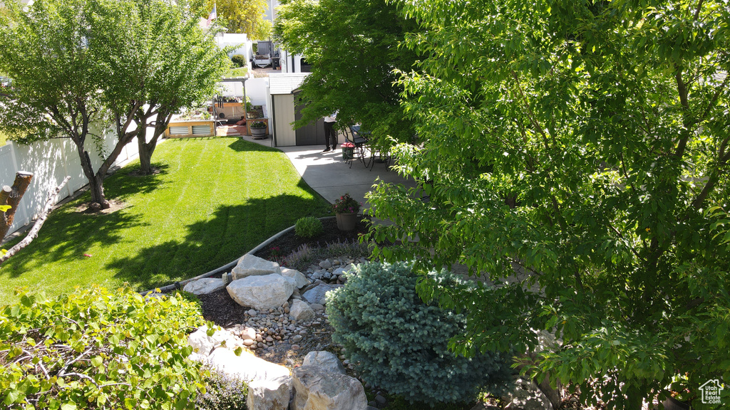 View of yard with a patio area