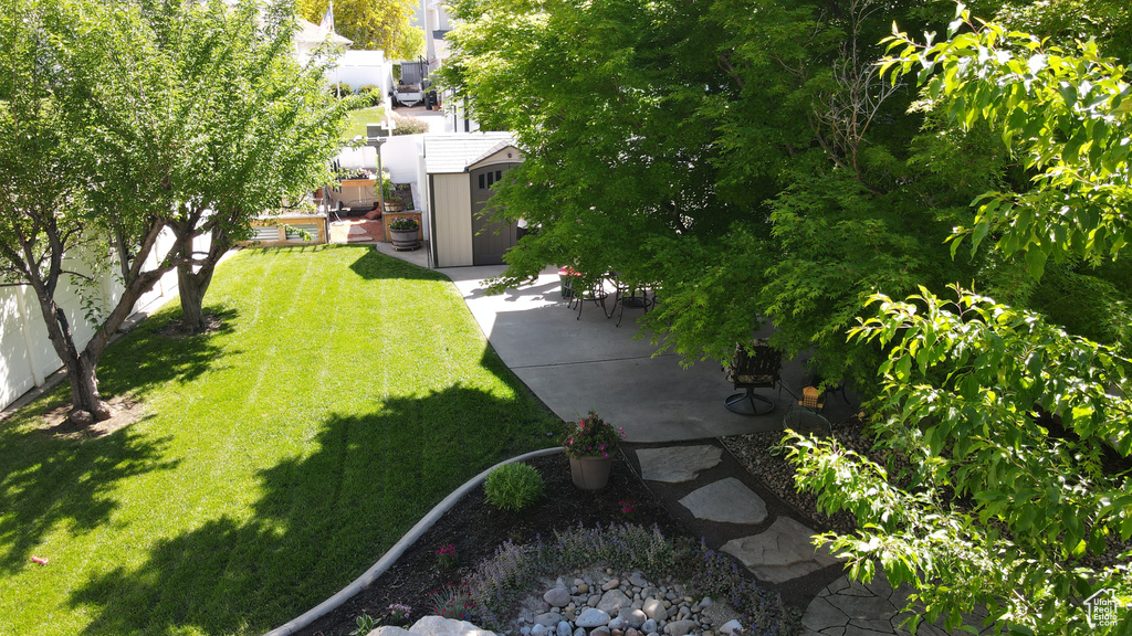 View of yard with a patio area
