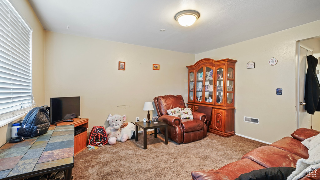 Carpeted living area with visible vents