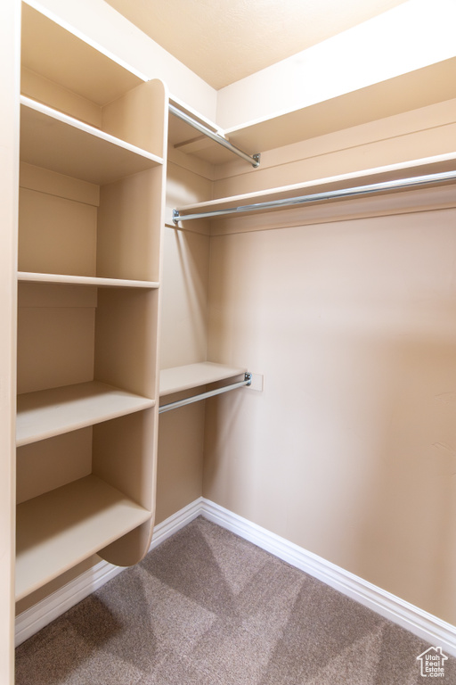 Spacious closet with carpet