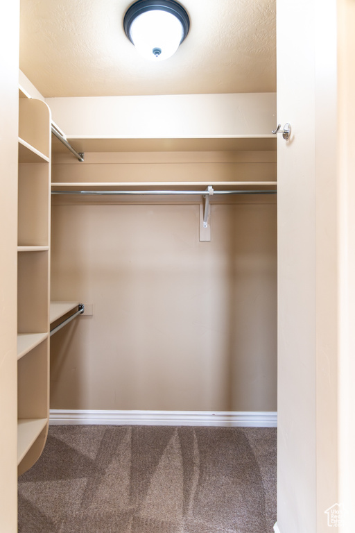 Spacious closet featuring carpet flooring