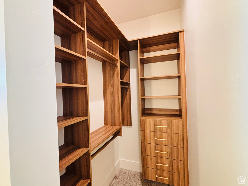 View of walk in closet