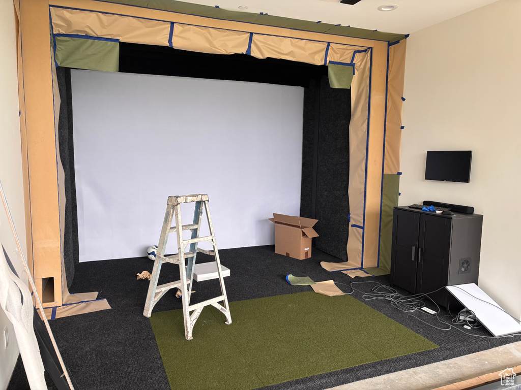 Miscellaneous room with carpet