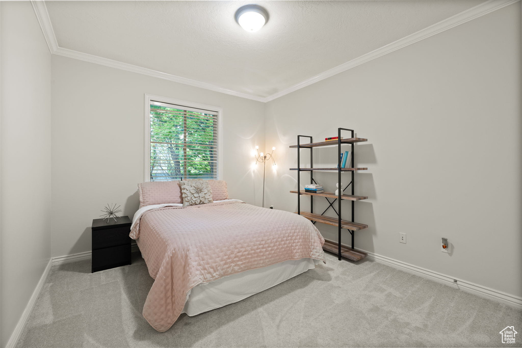 Bedroom featuring carpet flooring, baseboards, and ornamental molding