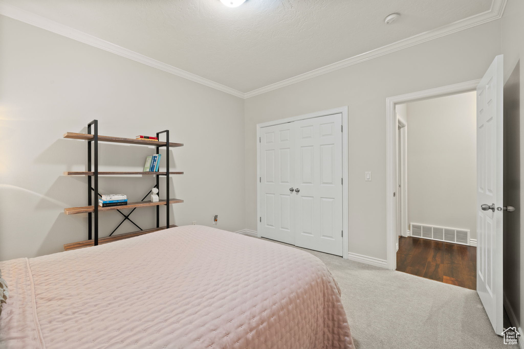 Carpeted bedroom with crown molding, baseboards, and a closet