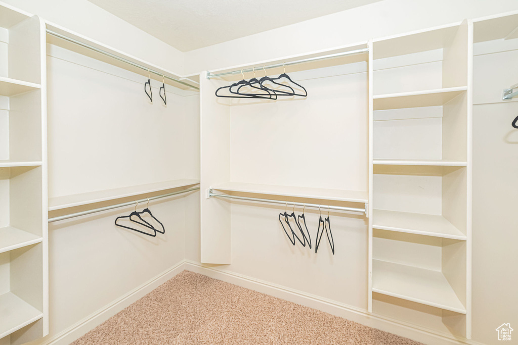 Walk in closet with carpet floors
