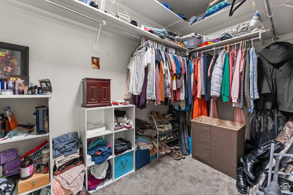 Walk in closet with carpet