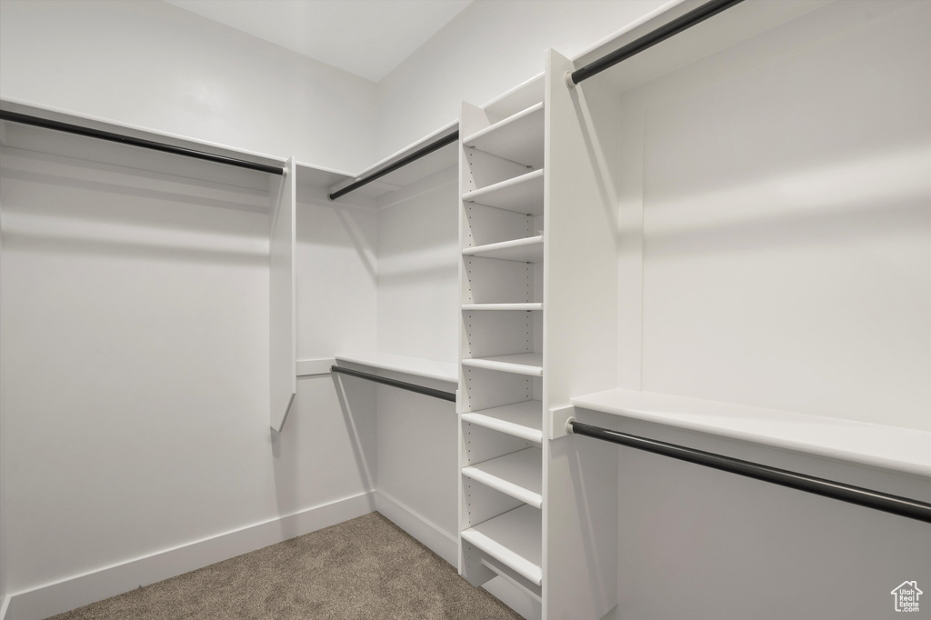 Walk in closet featuring carpet floors