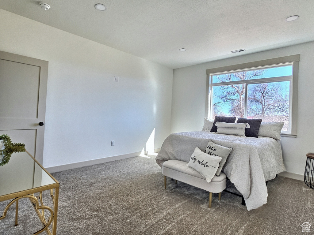 Bedroom featuring carpet flooring, a textured ceiling, baseboards, and visible vents