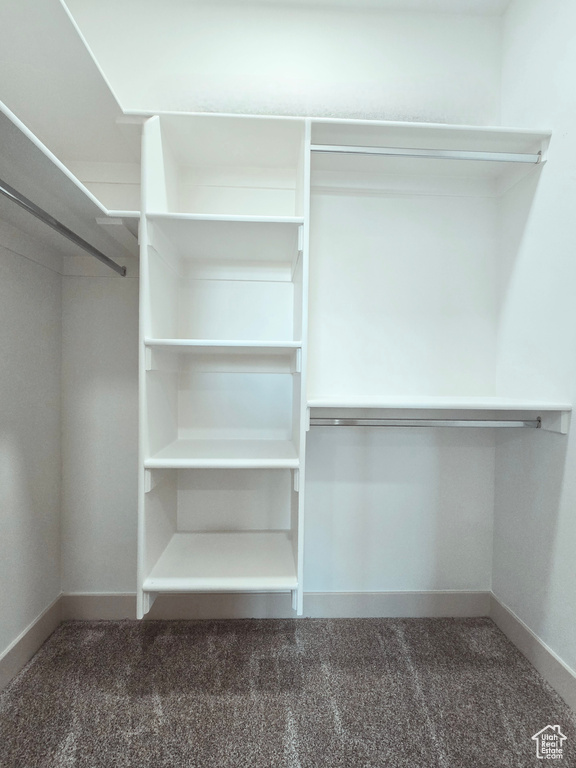 Spacious closet with carpet flooring