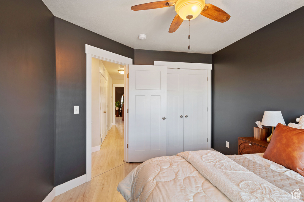 Bedroom with baseboards, a ceiling fan, a closet, and light wood-type flooring