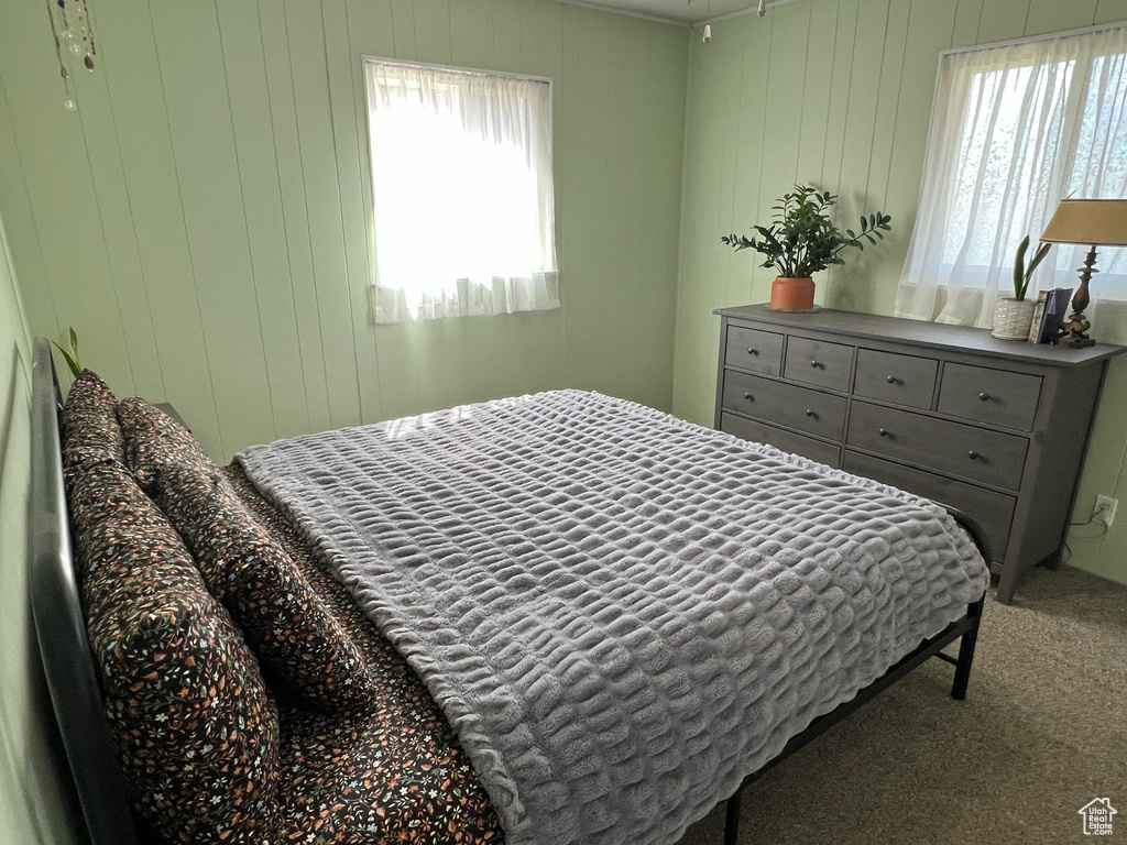 Carpeted bedroom featuring multiple windows
