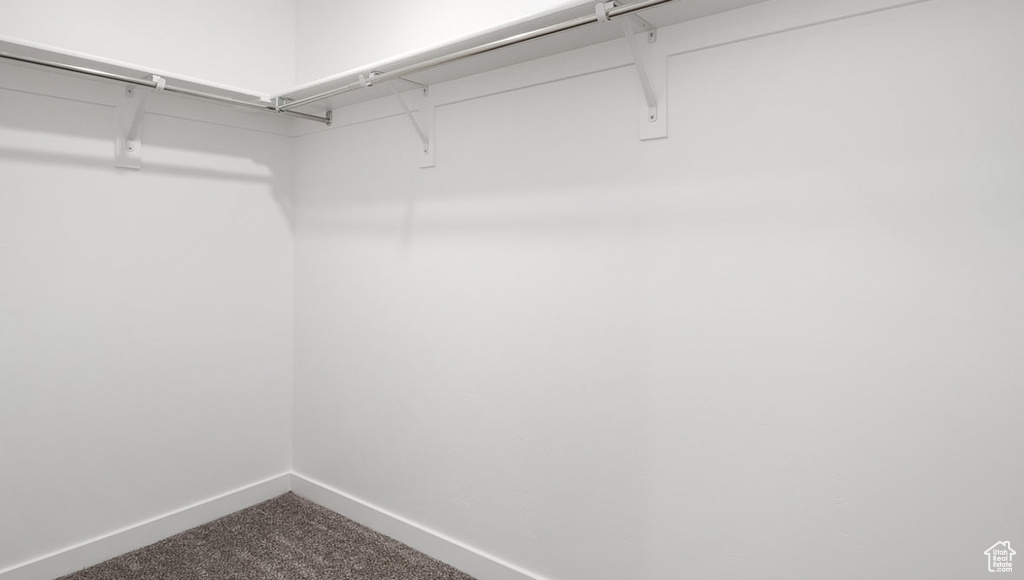 Walk in closet with dark colored carpet