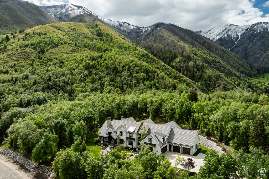 Mountain view with a forest