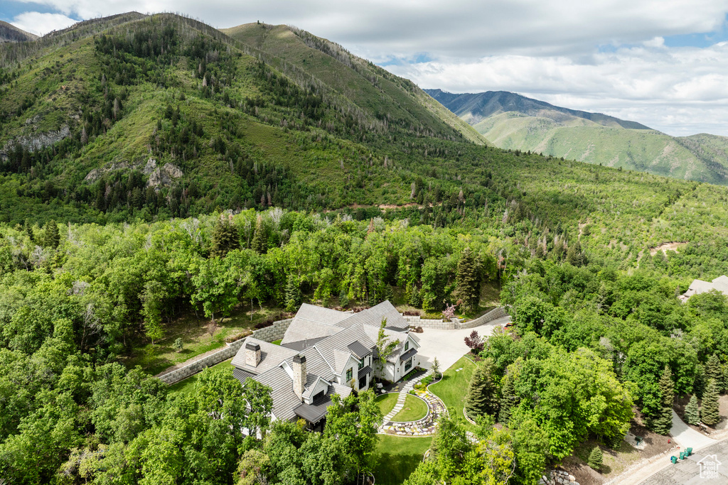 Bird's eye view of a mountainous background and a forest