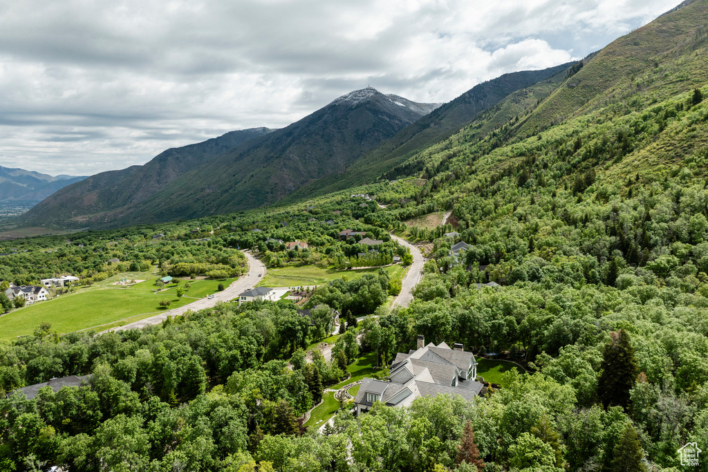 View of mountain backdrop featuring a forest
