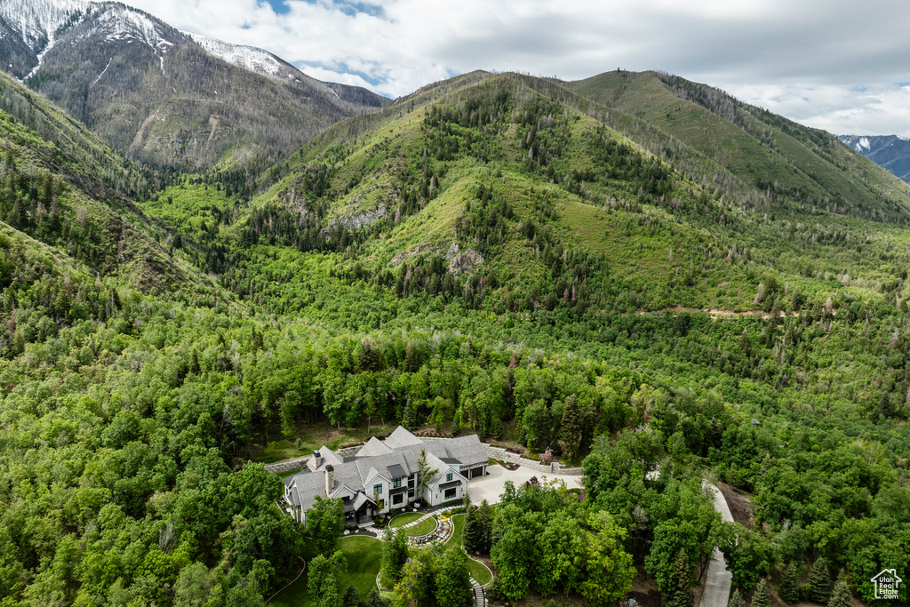 View of mountain background with a heavily wooded area