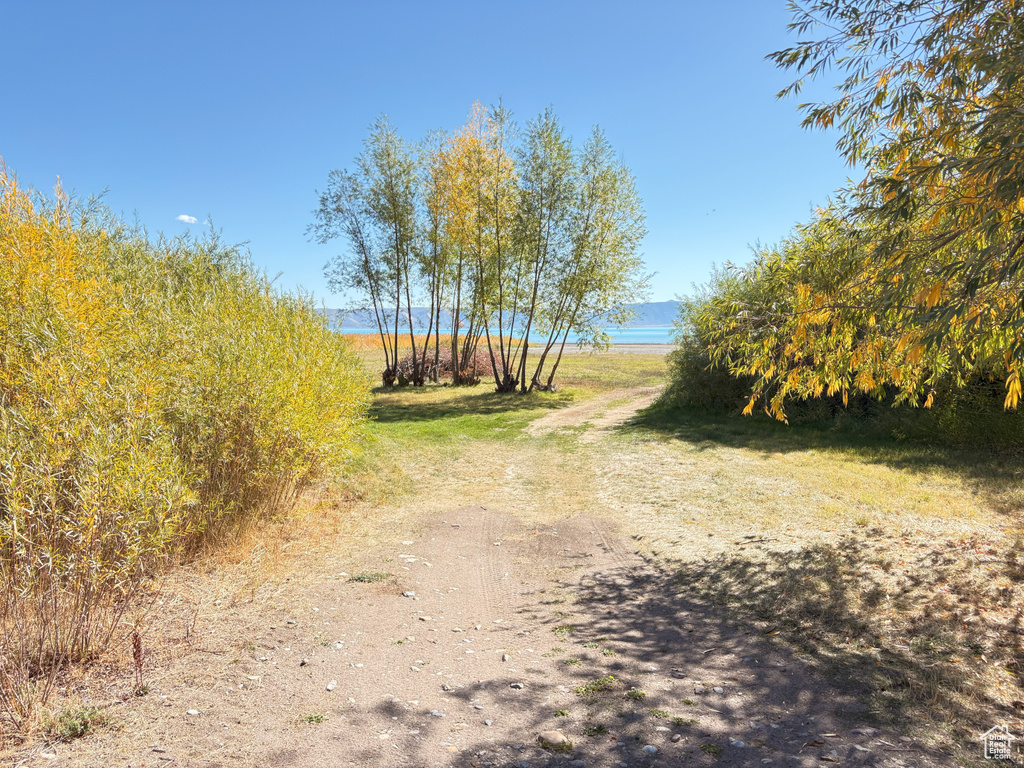 45  BROWN BEAR WAY Fish Haven, ID 83287