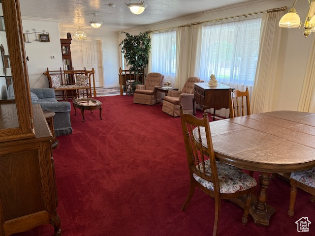 430 E CANYON RD Fillmore, UT 84631