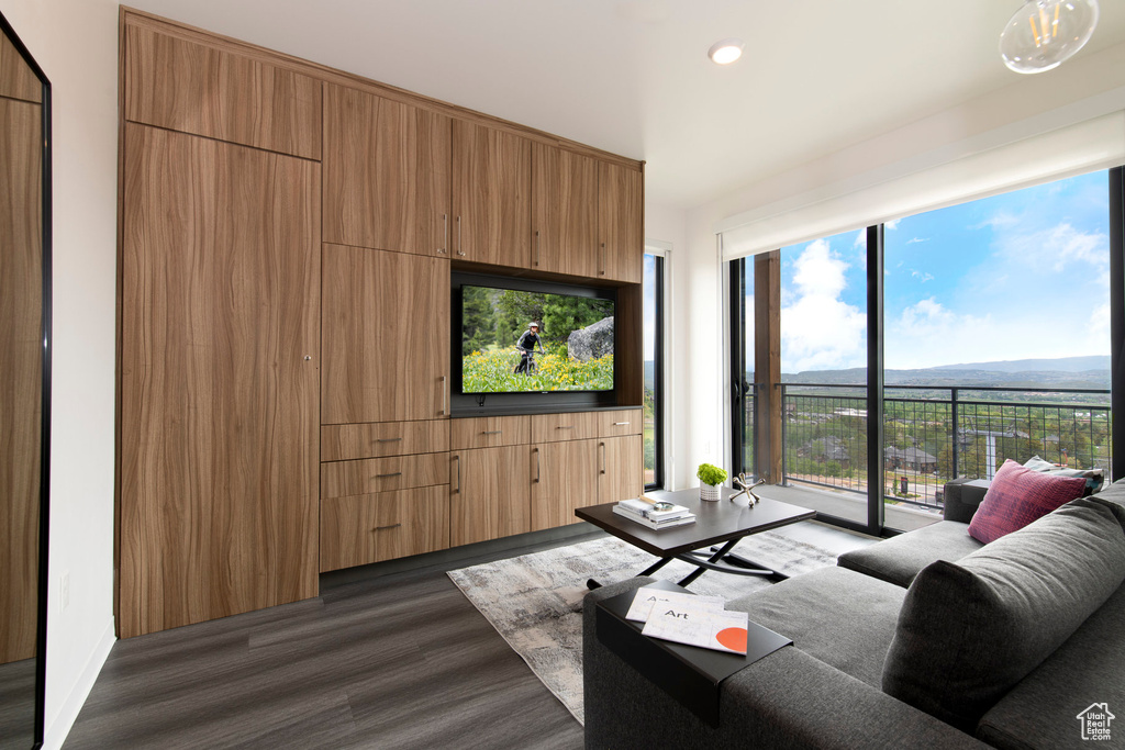 Living area with dark wood-style floors and recessed lighting