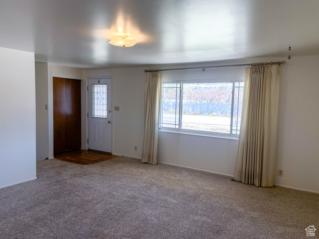 Entrance foyer featuring carpet flooring and a healthy amount of sunlight