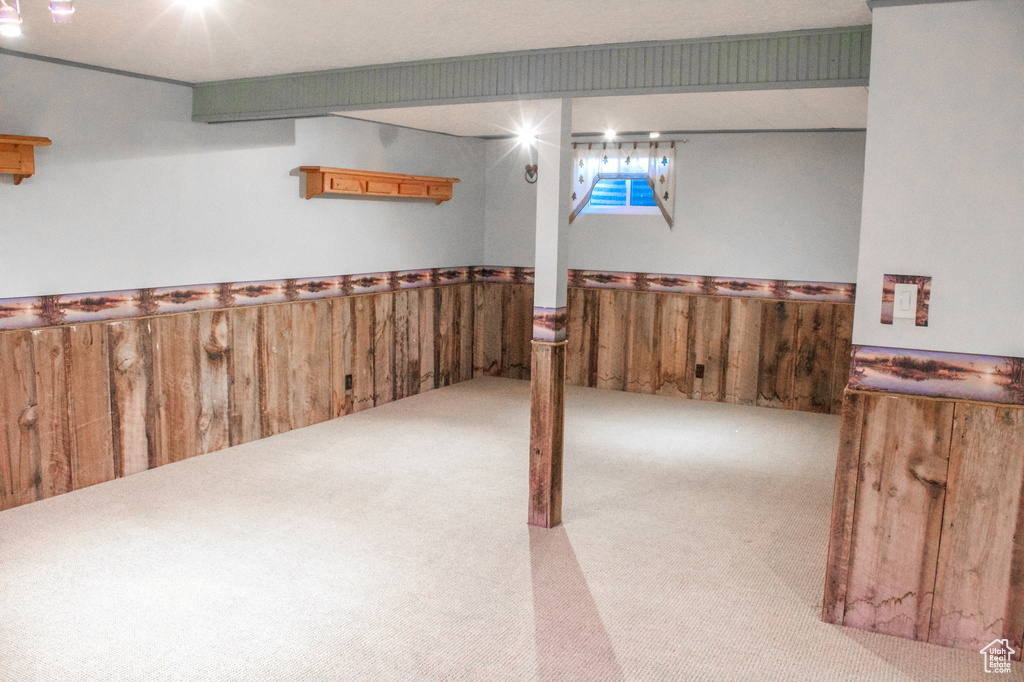 Below grade area featuring carpet flooring, a wainscoted wall, and wooden walls