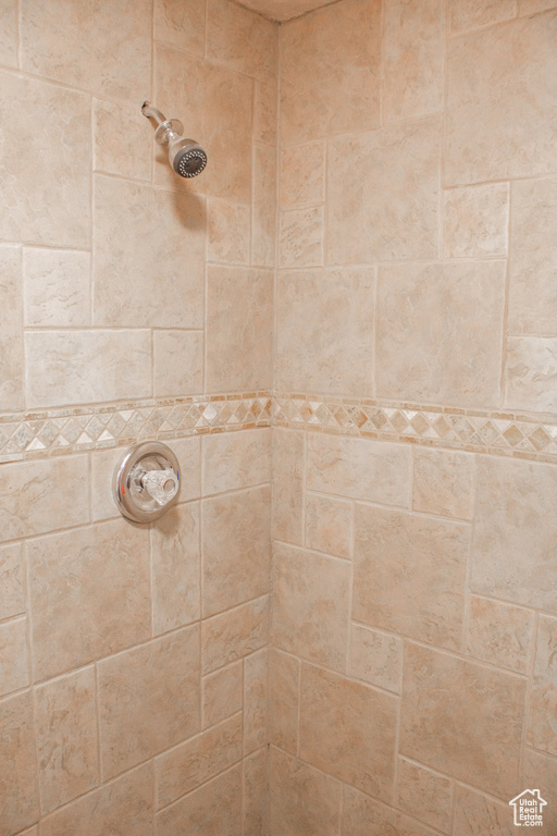 Interior details with a tile shower