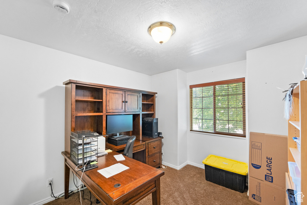 Carpeted office space with a textured ceiling and baseboards