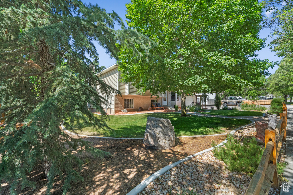 View of green lawn