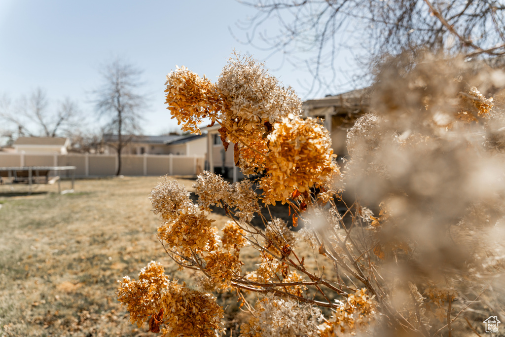 View of yard with fence