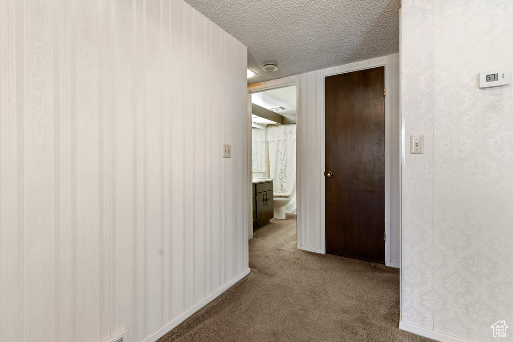 Hallway featuring carpet flooring and a textured ceiling