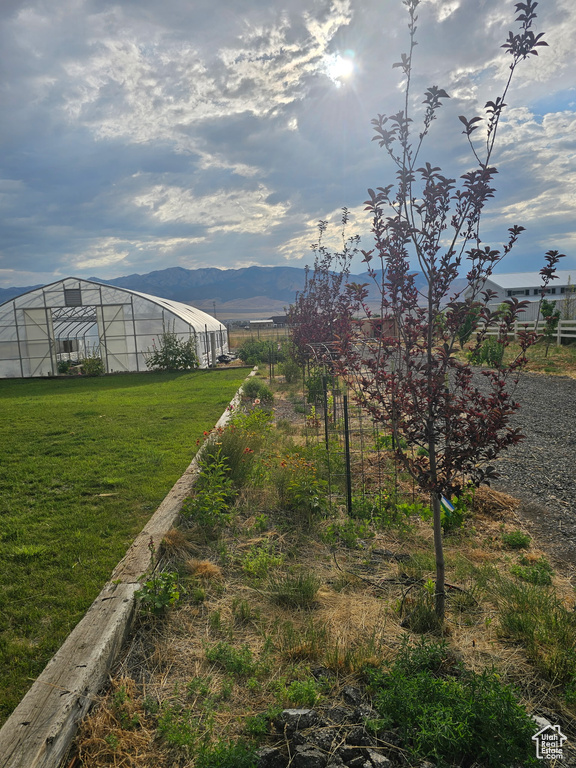 View of grassy yard with an exterior structure, an outdoor structure, and a mountain view