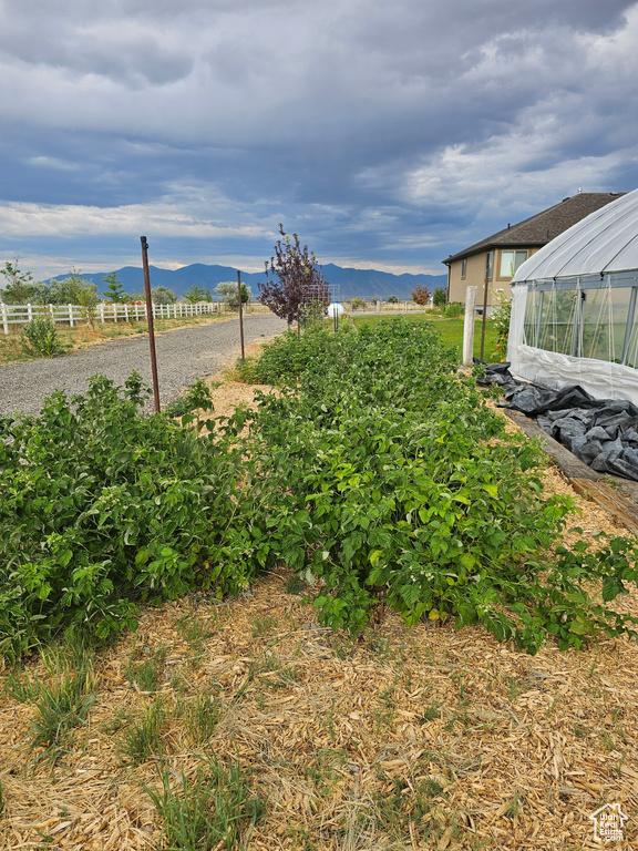View of yard featuring a mountain view, an exterior structure, and an outbuilding