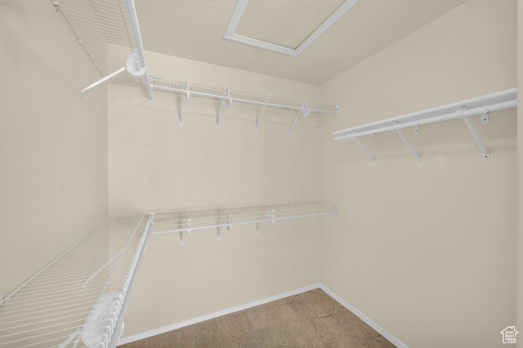 Walk in closet with carpet