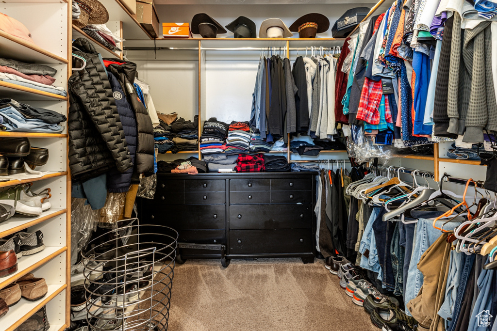 Spacious closet featuring carpet floors