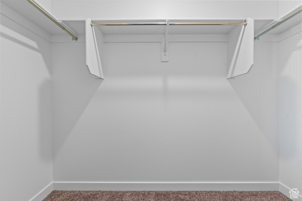 Walk in closet with carpet flooring