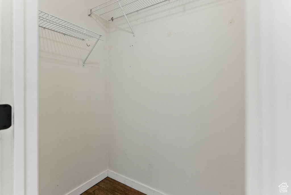 Walk in closet featuring dark wood-style flooring