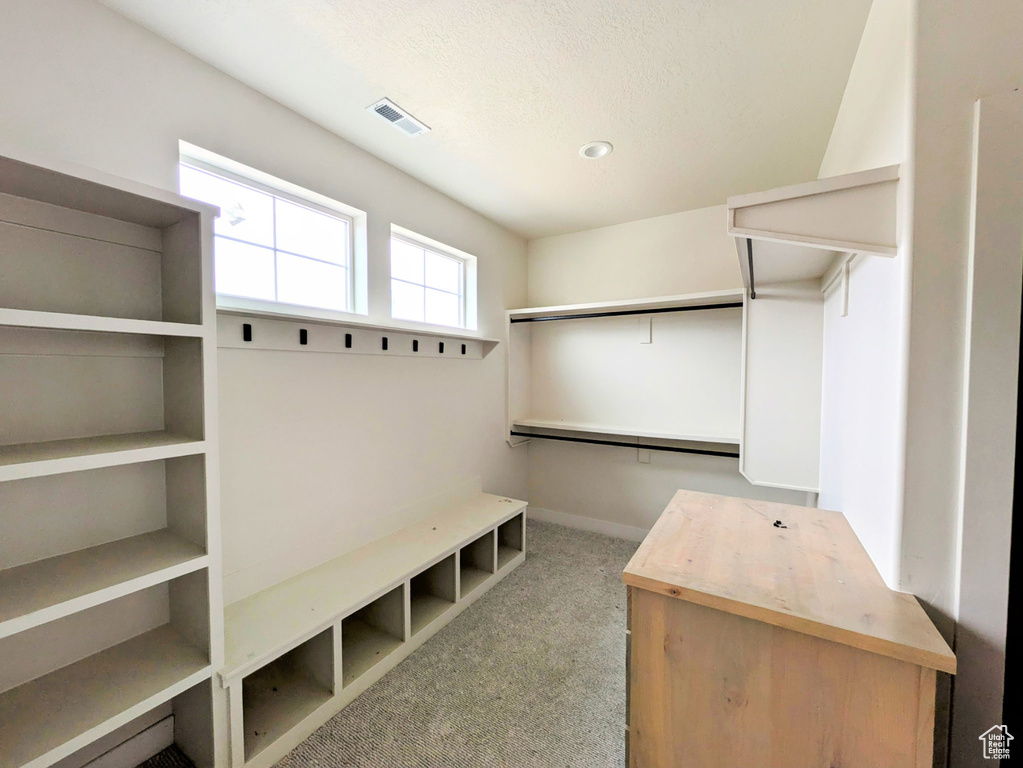 Mudroom featuring visible vents and carpet floors