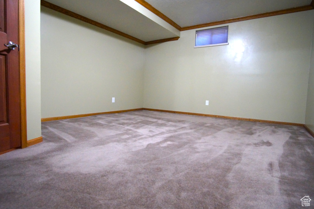 Carpeted empty room with baseboards and crown molding