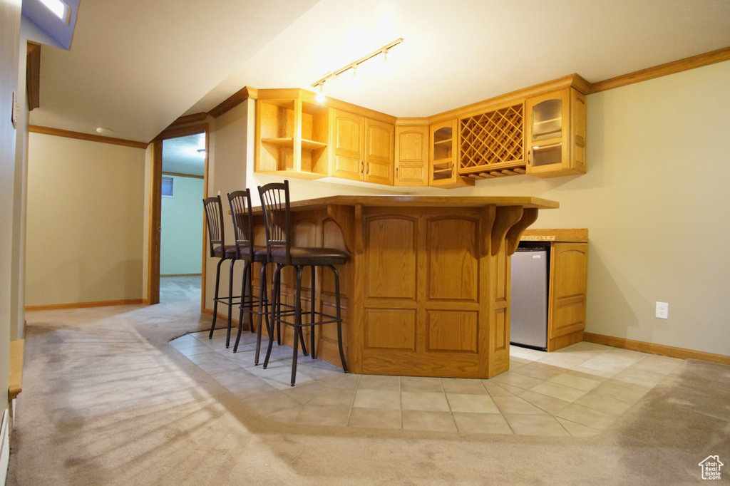 Bar featuring freestanding refrigerator, a bar, light carpet, baseboards, and ornamental molding