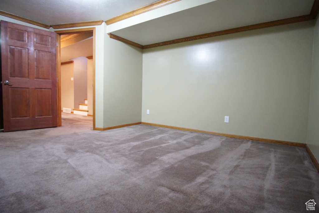 Finished basement featuring baseboards and carpet flooring