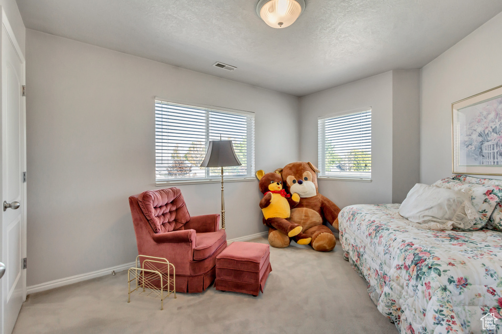 Bedroom with carpet floors, baseboards, visible vents, and a textured ceiling