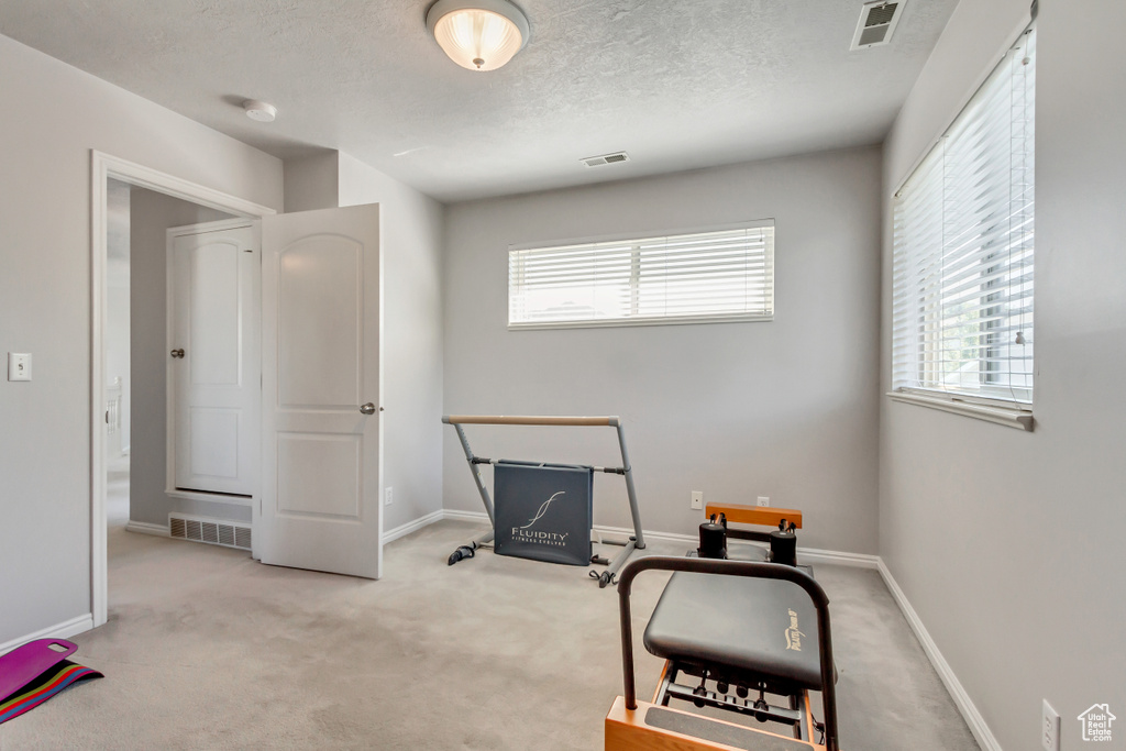 Interior space with carpet flooring, a textured ceiling, baseboards, and visible vents