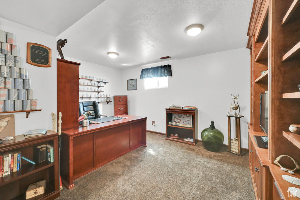 Office with carpet floors, baseboards, and a textured ceiling