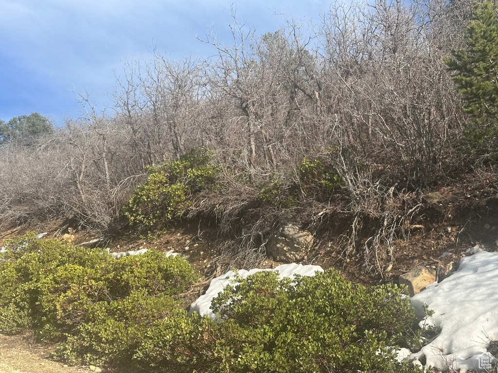 View of landscape