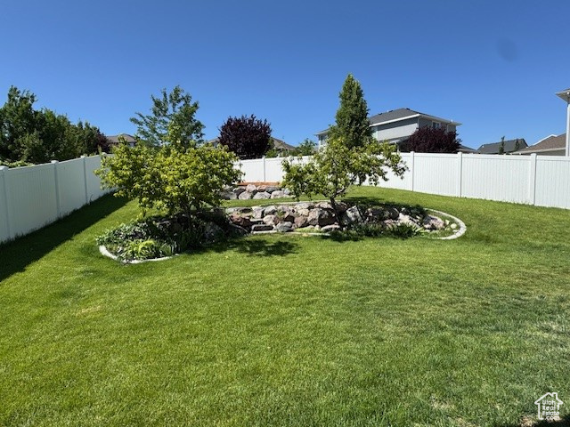 View of fenced backyard