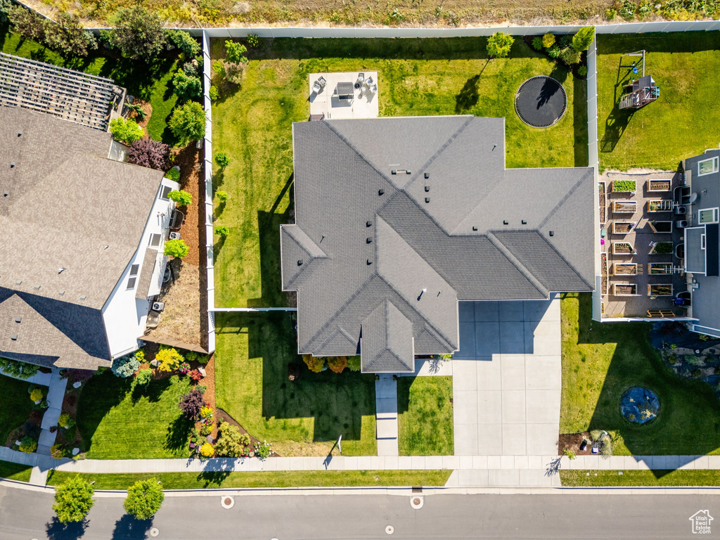 Bird\'s eye view